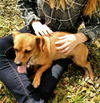 Penny Lane