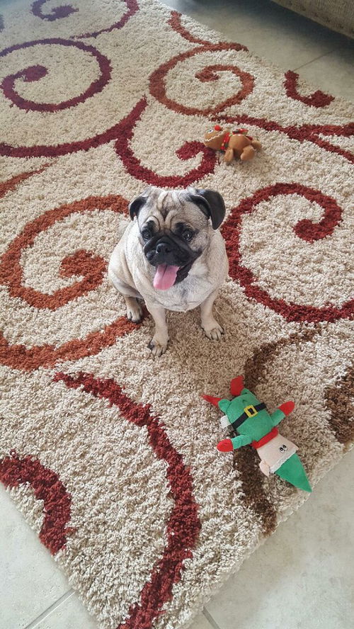 Ella