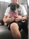 Ella