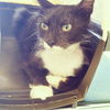 Seymour