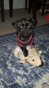 Mickey