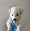 MILO - Photo 1