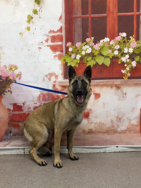 RITA