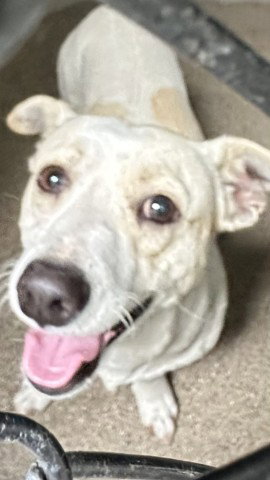 OSO