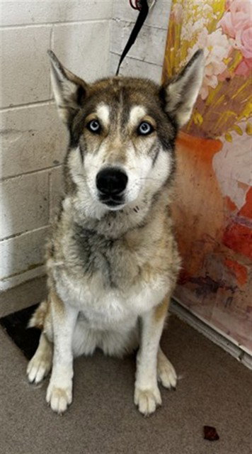 KHALYPSO NYMERIA SALDANA
