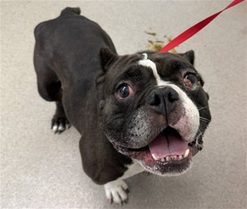 Olivia