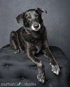 Ursa - F - Photo 2