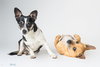 Bonded Par - Ryver & Ryker - Photo 2