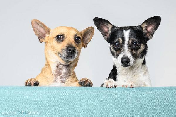 Bonded Par - Ryver & Ryker
