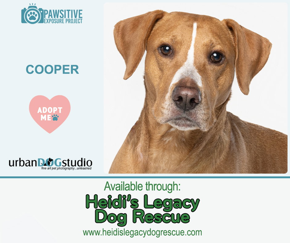 Cooper - M