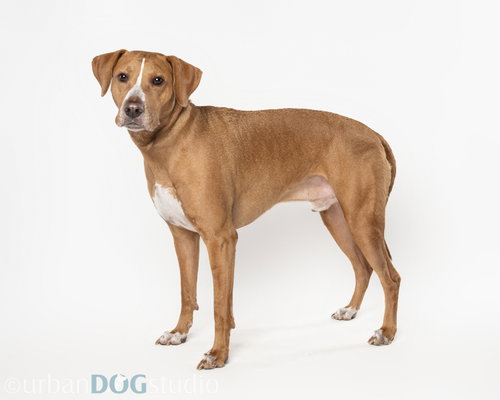 Cooper - M photo 5