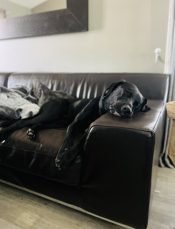 Barkley - M