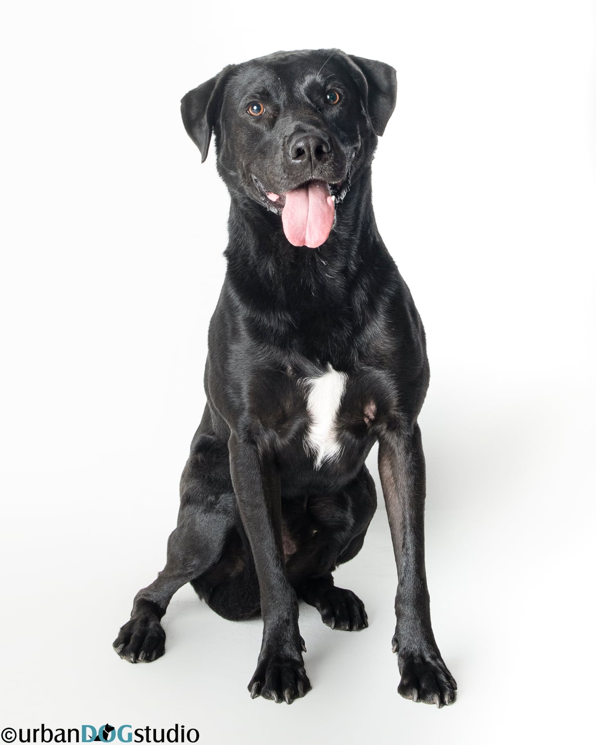 Barkley - M