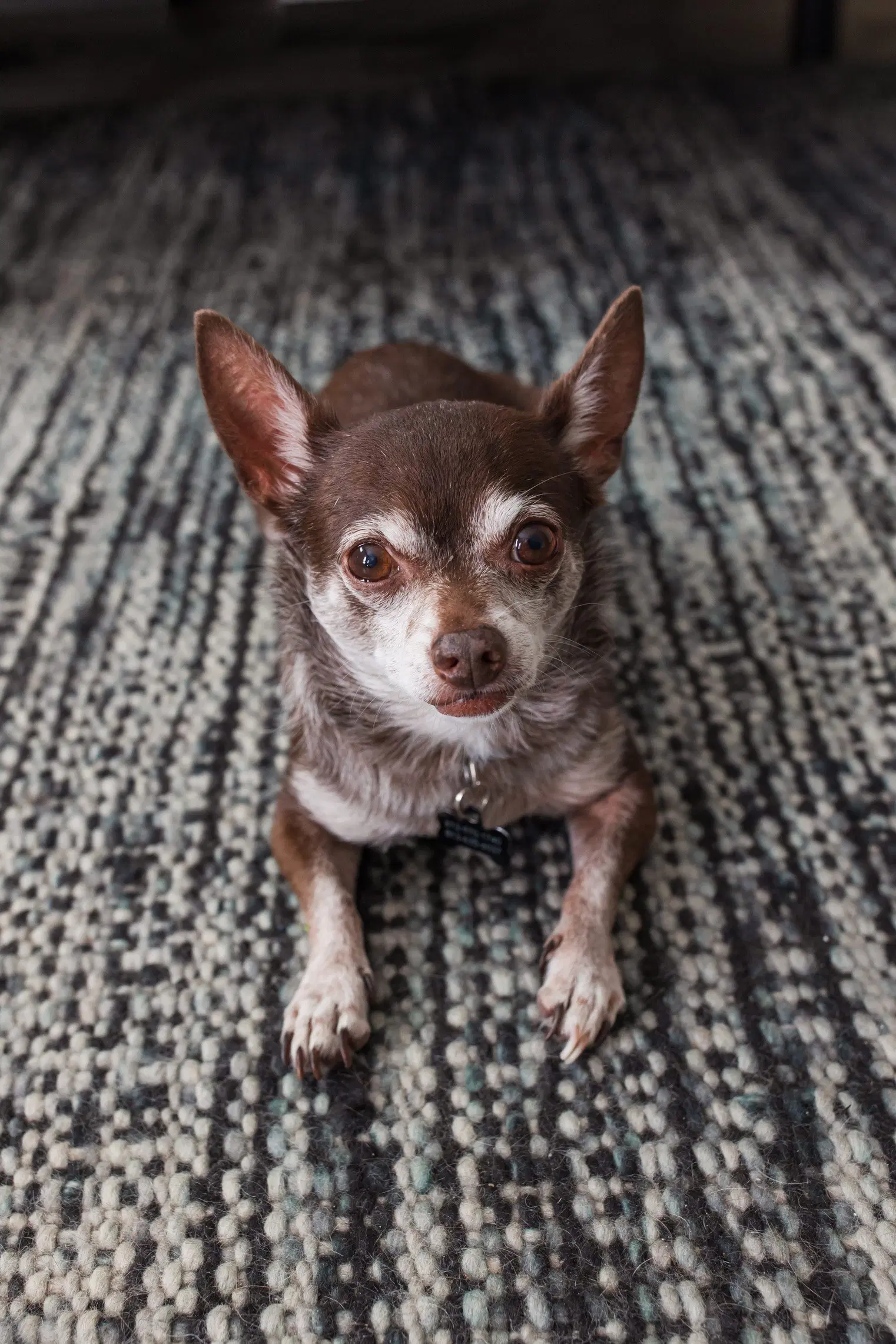 Toosie - M image 2