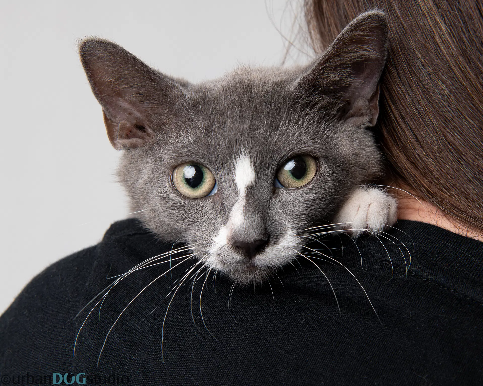 August - M image 3