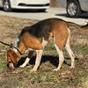 Jolene - Photo 3