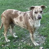 Bernadette - Photo 2