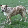 Bernadette - Photo 3