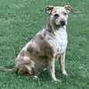 Bernadette - Photo 4