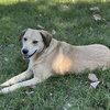 Alison - Photo 4