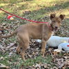 Blakely - Photo 2