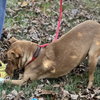 Blakely - Photo 3