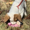 Winnie - Photo 2