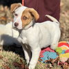 Winnie - Photo 3