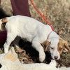 Winnie - Photo 4