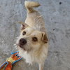 Ella - Photo 2