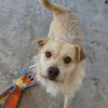 Ella - Photo 4