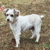 Buddy O - Photo 2