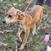 Sally - Photo 2