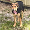 COCO HOPE  LOWER FEE! - Photo 2