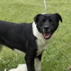 Ballena  (Lower Fee!) - Photo 1