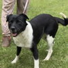 Ballena  (Lower Fee!) - Photo 2