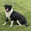 Ballena  (Lower Fee!) - Photo 3