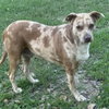 Bernadette - Photo 2