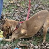 Blakely - Photo 2