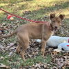 Blakely - Photo 4