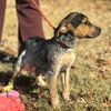 Darby - Photo 2