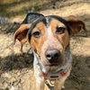 Darby    Lower Fee! - Photo 1