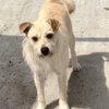 Ella - Photo 4