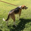 Jolene - Photo 3