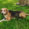 Jolene - Photo 4
