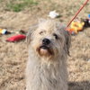 Little Man - Photo 1