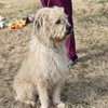 Little Man - Photo 3
