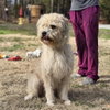 Little Man - Photo 4