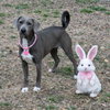 Livia - Photo 3