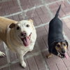 Marge And Homer - Photo 3